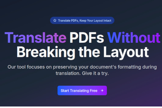 An image of the TranslateAnyPDF project.